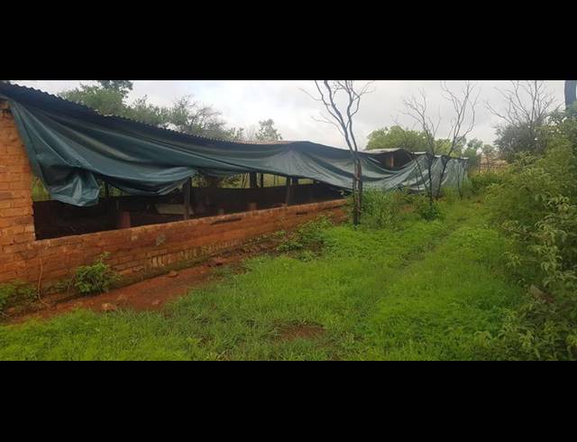FARM FOR SALE IN VASFONTEIN AH
